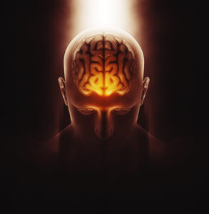 3D Generated Brain Picture 